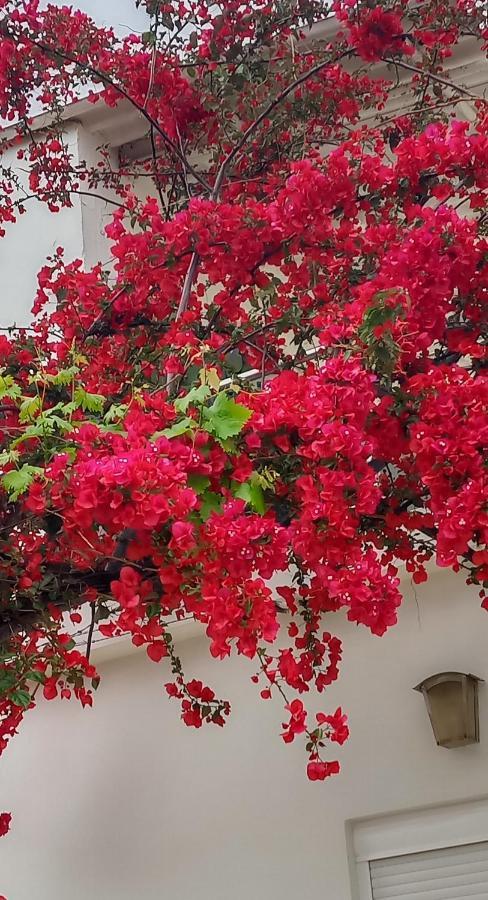 Stamatias Home, Fully Equipped Cottage 5 Minutes From The Sea La Canea Exterior foto